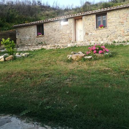 Il Cerro Agriturismo Zagarese ฟุสกัลโด ภายนอก รูปภาพ
