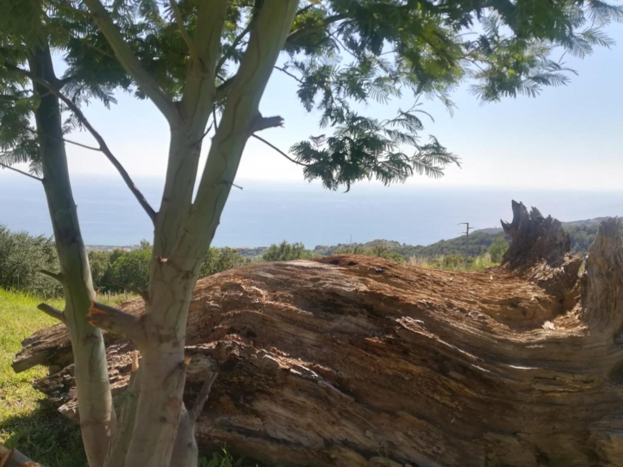 Il Cerro Agriturismo Zagarese ฟุสกัลโด ภายนอก รูปภาพ