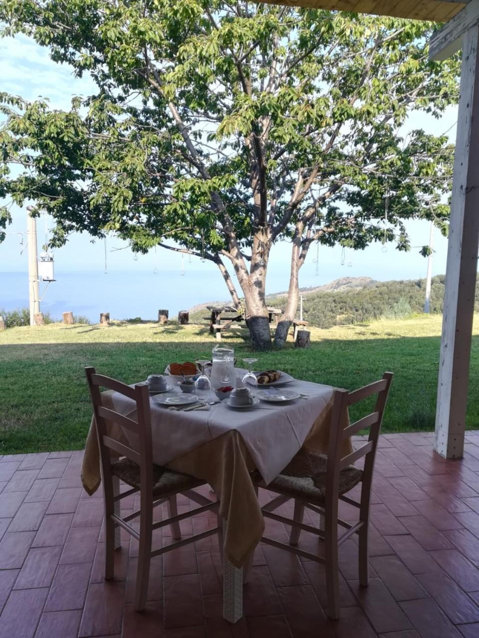 Il Cerro Agriturismo Zagarese ฟุสกัลโด ภายนอก รูปภาพ